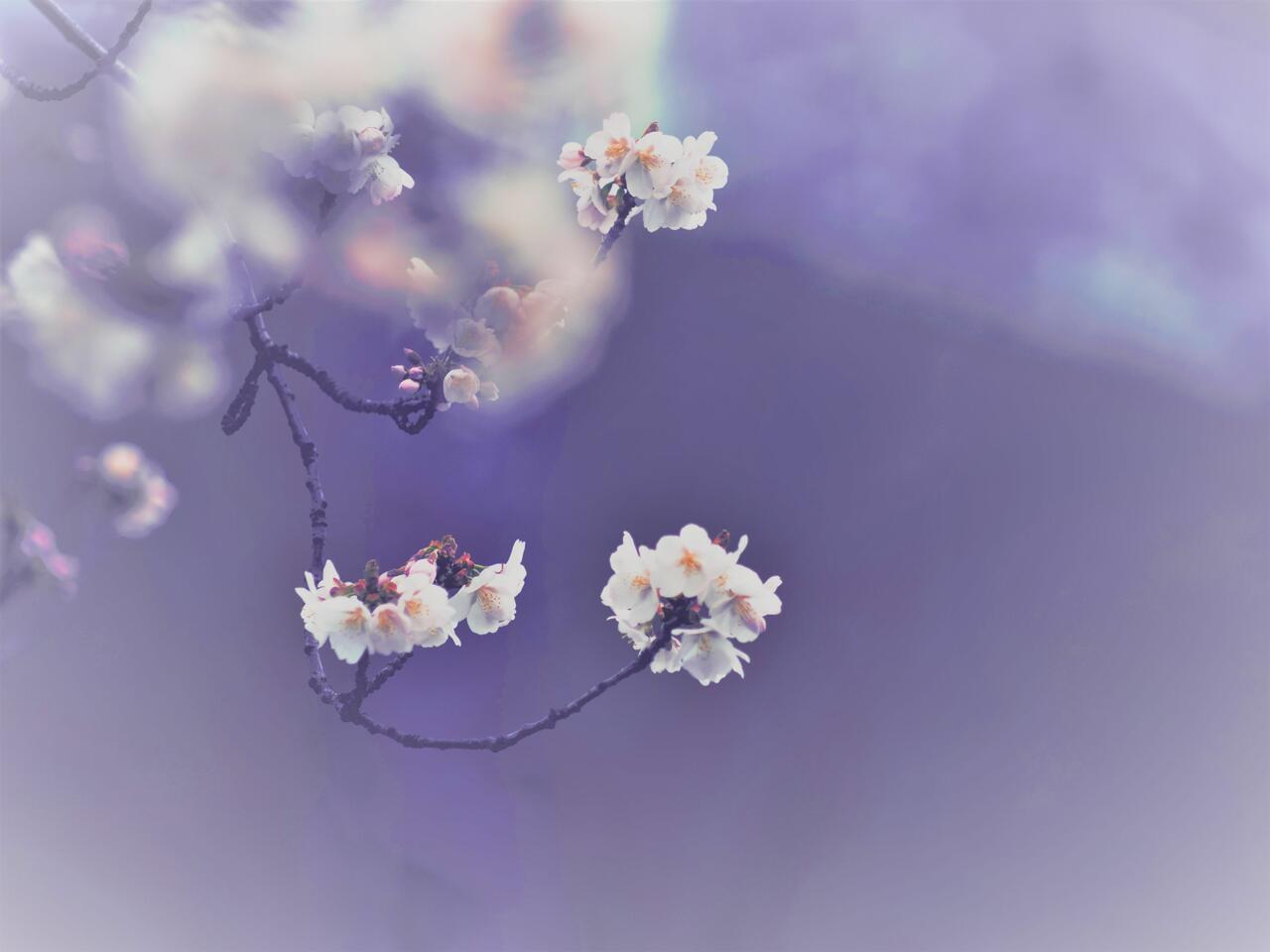 daniel-von-appen-366048b