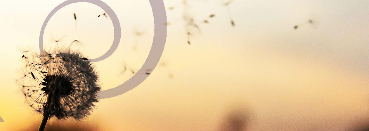 Contacter Spirale Conseil